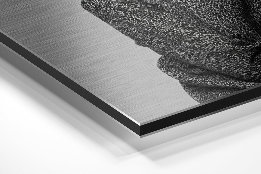 Brushed Aluminium Dibond Wall Art