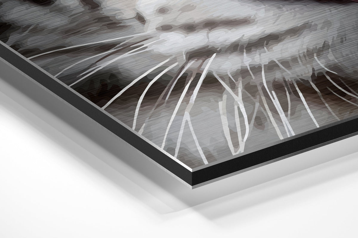 Brushed Aluminium Dibond Wall Art