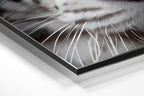 Brushed Aluminium Dibond Wall Art