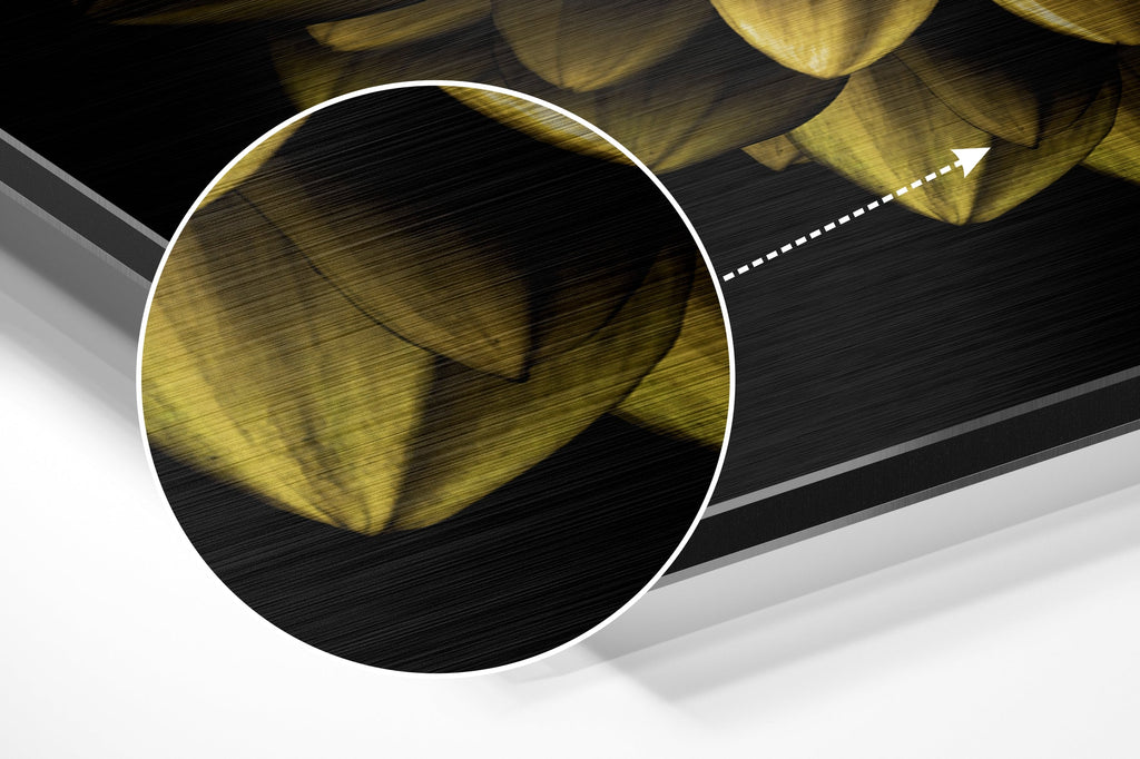 Brushed Aluminium Dibond Wall Art