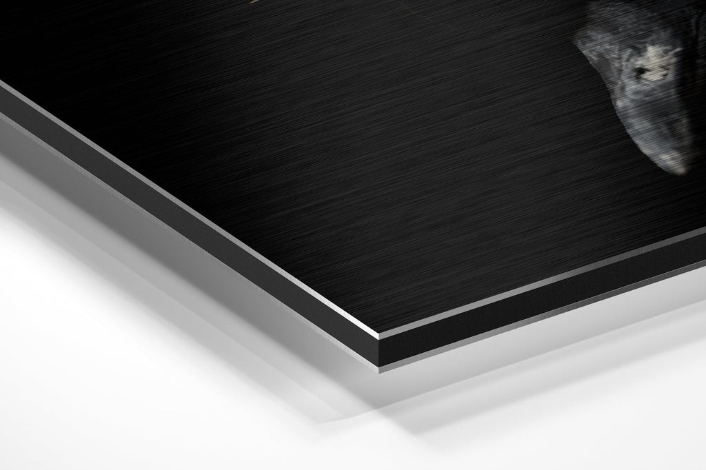 Brushed Aluminium Dibond Wall Art