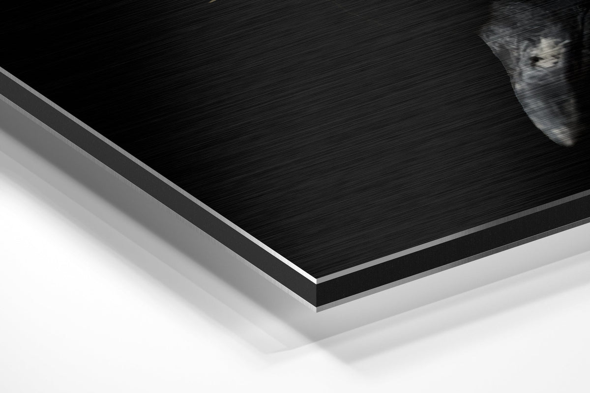 Brushed Aluminium Dibond Wall Art