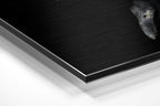 Brushed Aluminium Dibond Wall Art