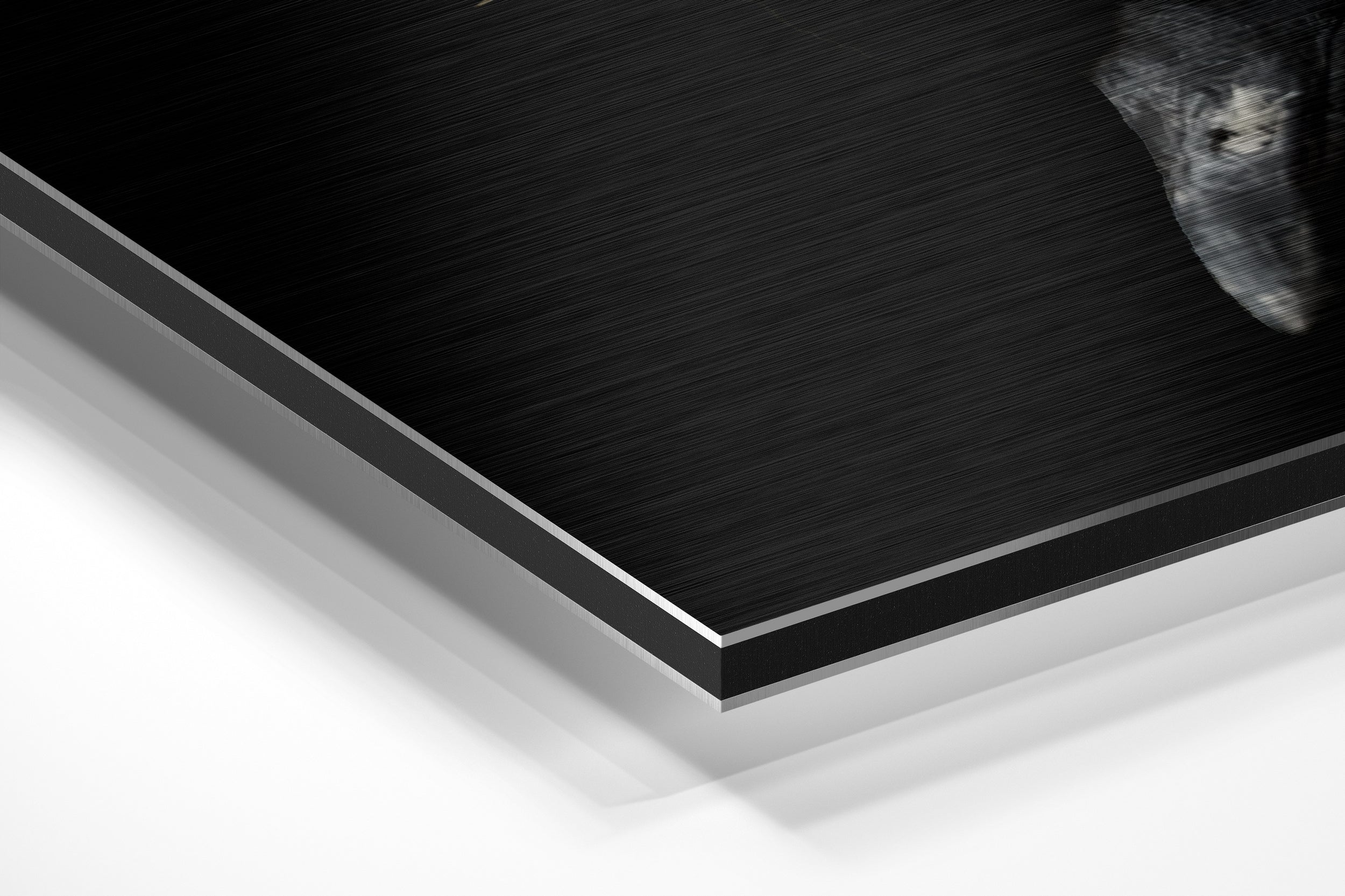 Brushed Aluminium Dibond Wall Art