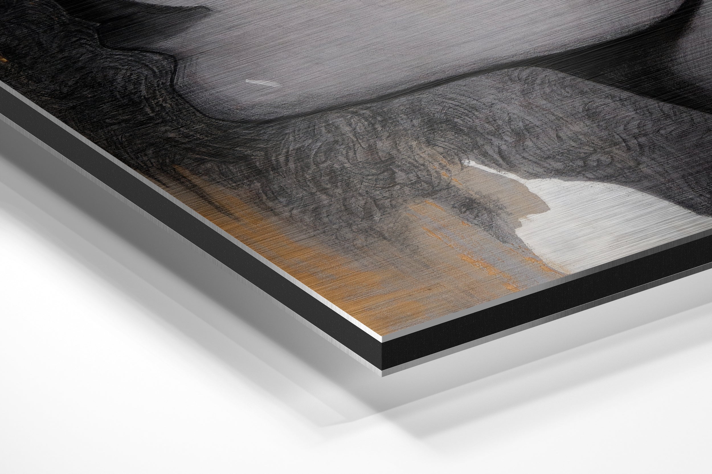Brushed Aluminium Dibond Wall Art