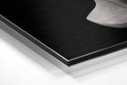 Brushed Aluminium Dibond Wall Art