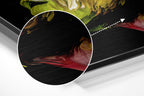 Brushed Aluminium Dibond Wall Art