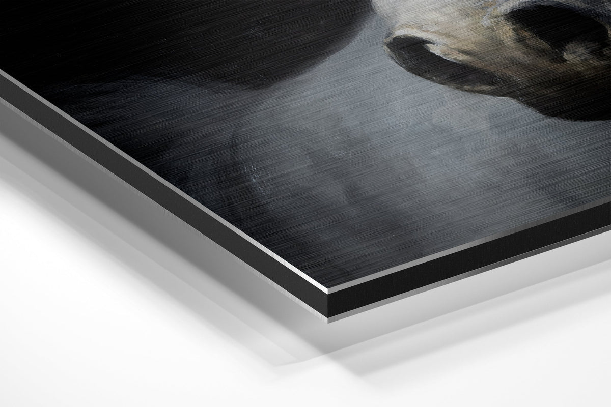 Brushed Aluminium Dibond Wall Art