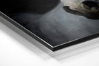Brushed Aluminium Dibond Wall Art