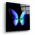 The Elegance of the Butterfly Glass Wall Art