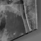 Elephant Glass Wall Art | Insigne Art Design