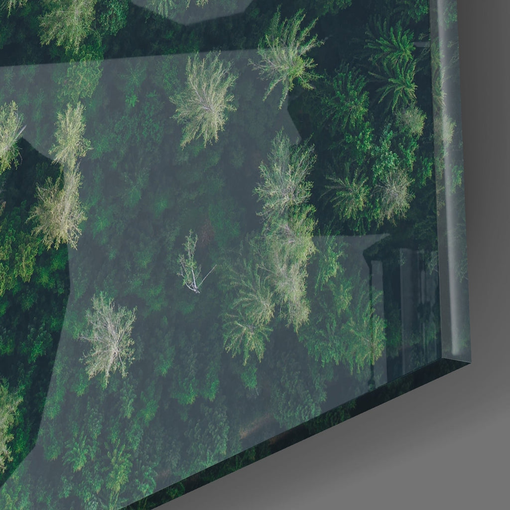 Forest Road Glass Wall Art | Insigne Art Design