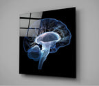 Brain Glass Wall Art | Insigne Art Design