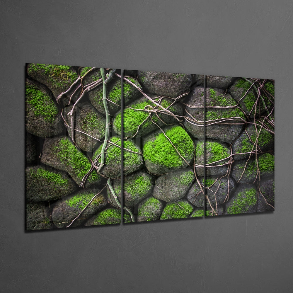 Glass Wall Art