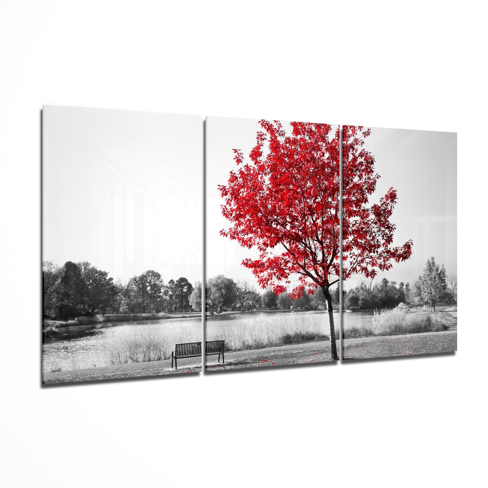 Glass Wall Art