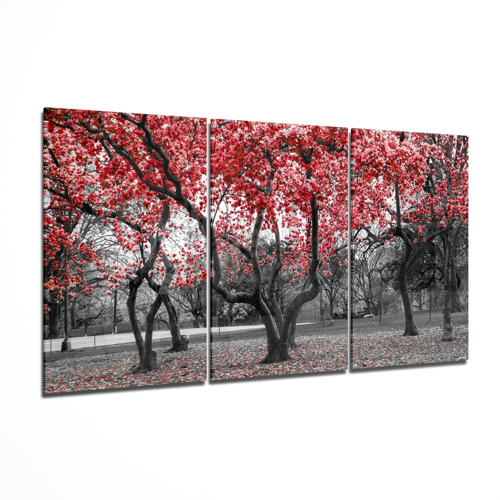 Glass Wall Art