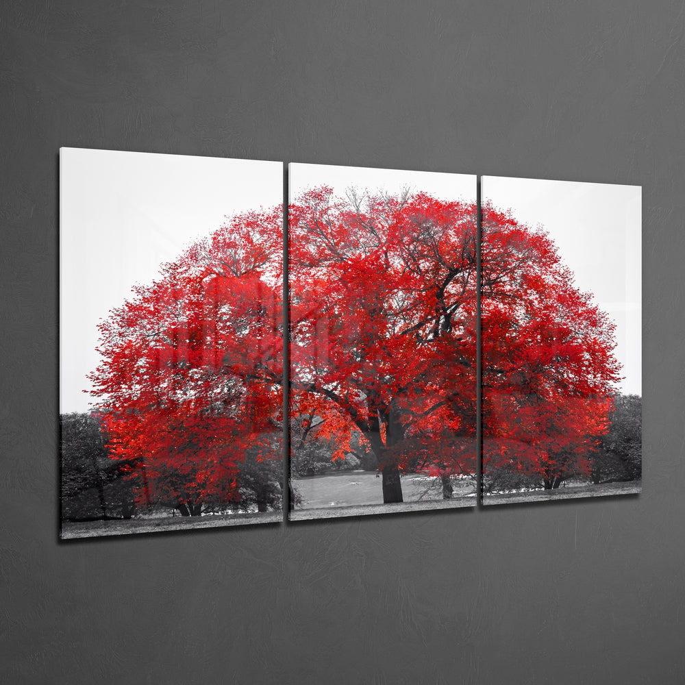 Glass Wall Art