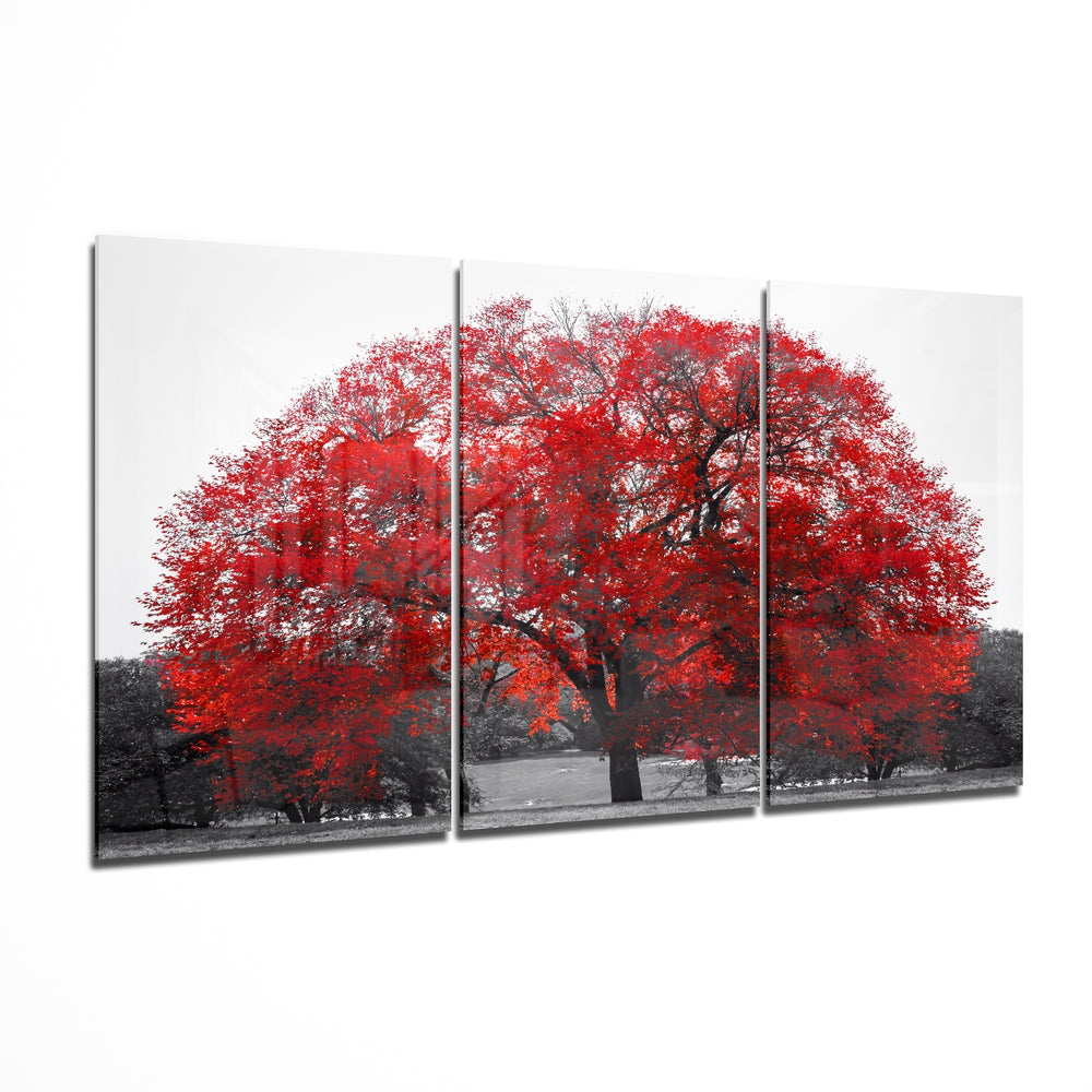 Glass Wall Art