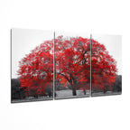 Glass Wall Art