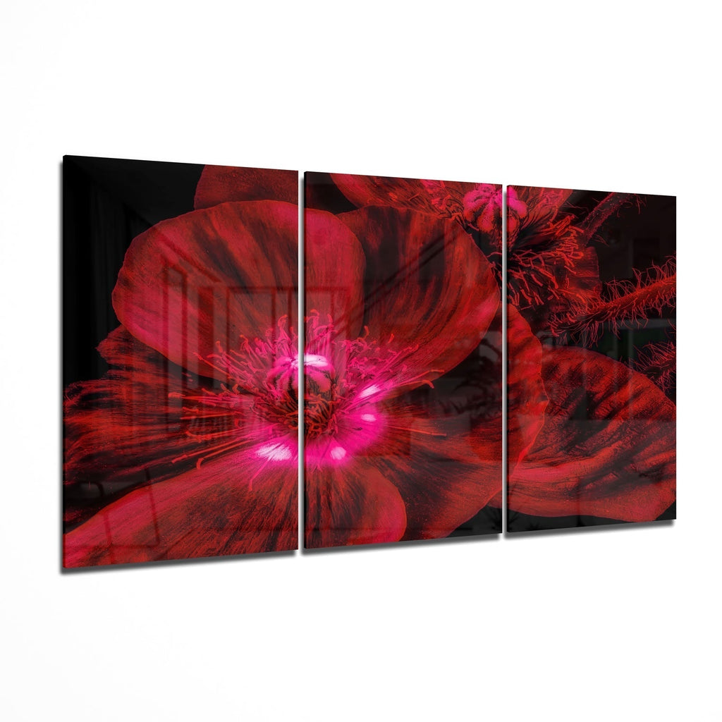 Glass Wall Art