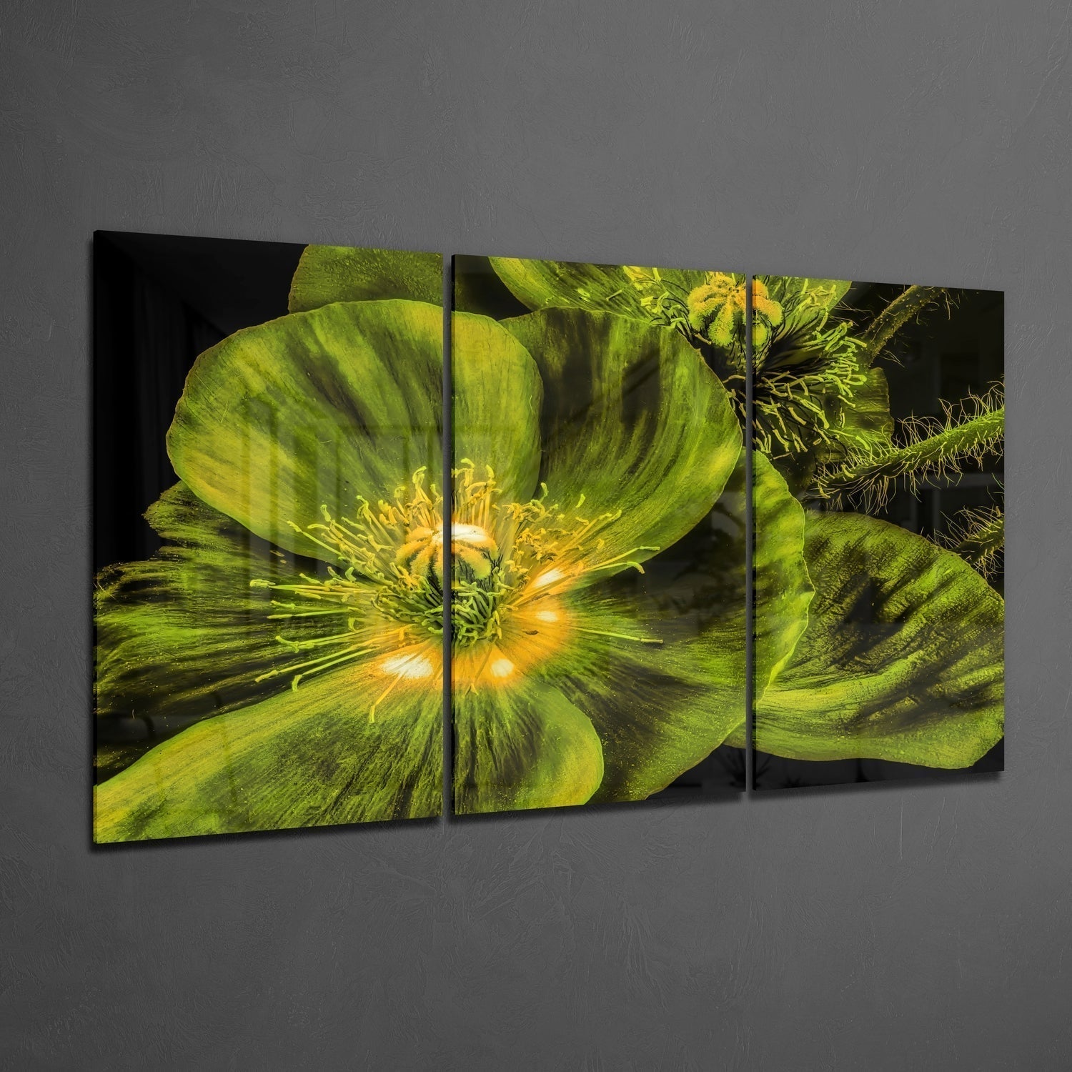 Glass Wall Art