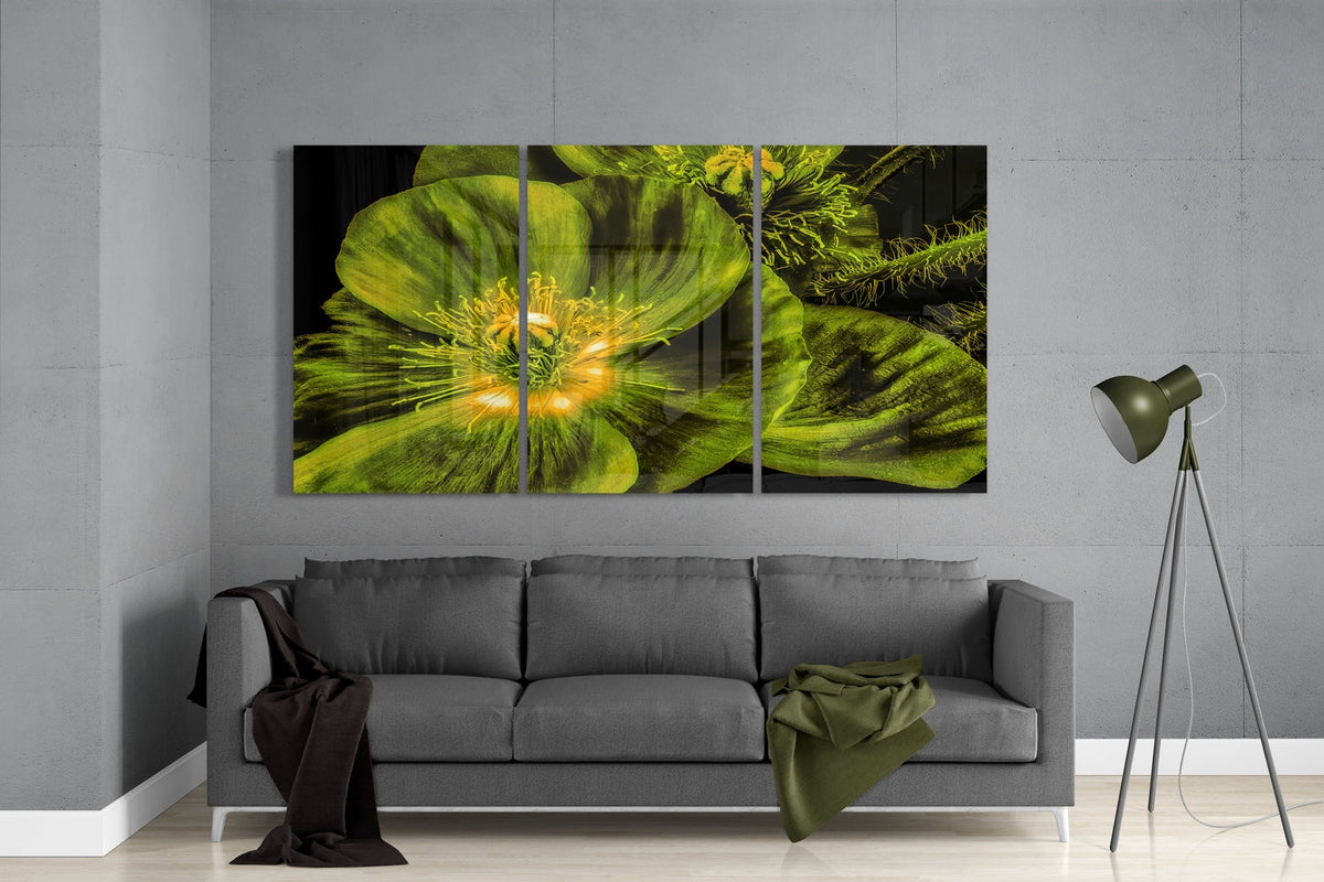 Glass Wall Art