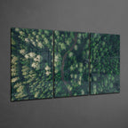Glass Wall Art