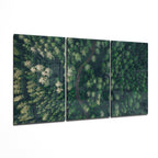 Glass Wall Art