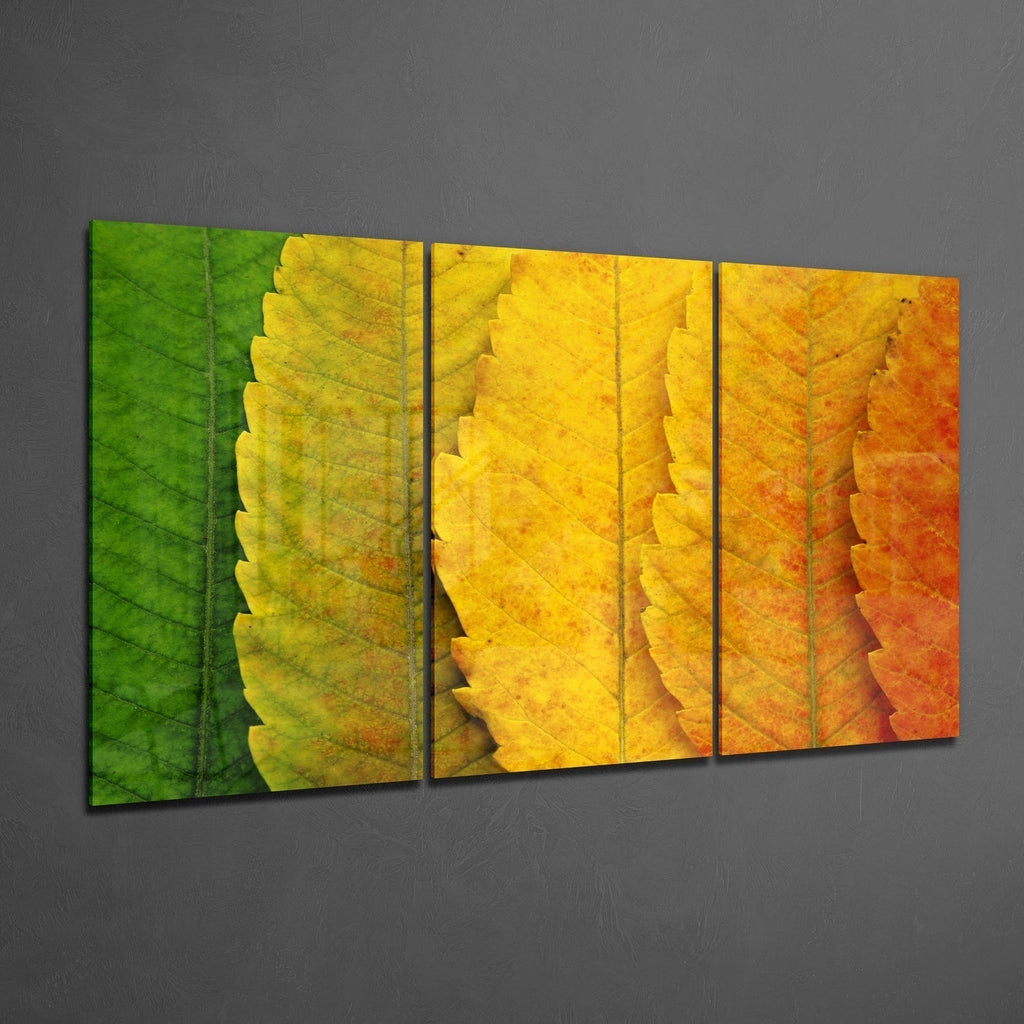 Glass Wall Art