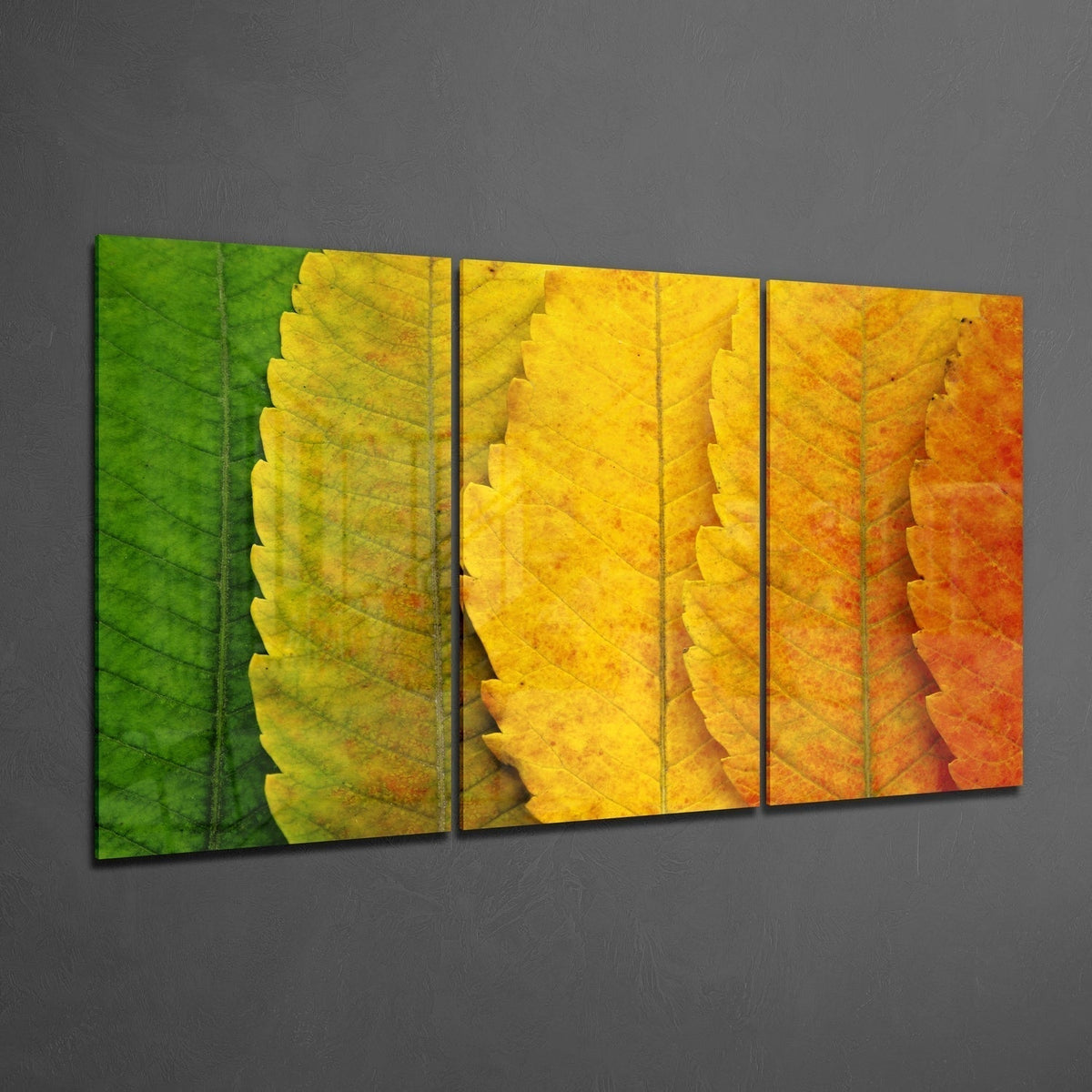 Glass Wall Art