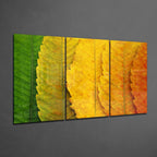 Glass Wall Art