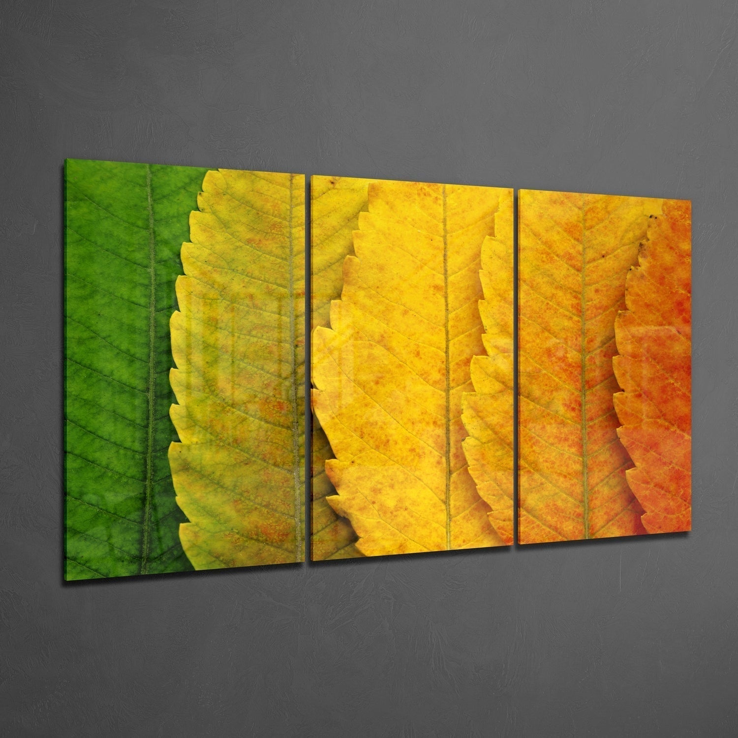 Glass Wall Art