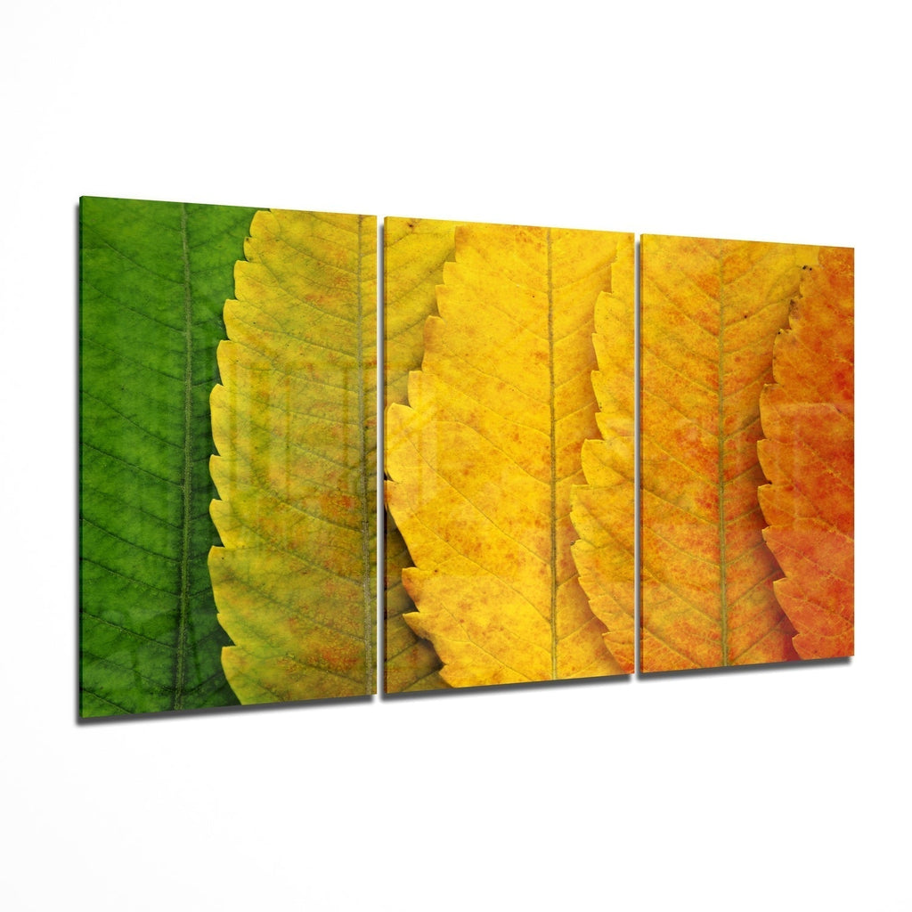 Glass Wall Art