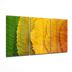 Glass Wall Art