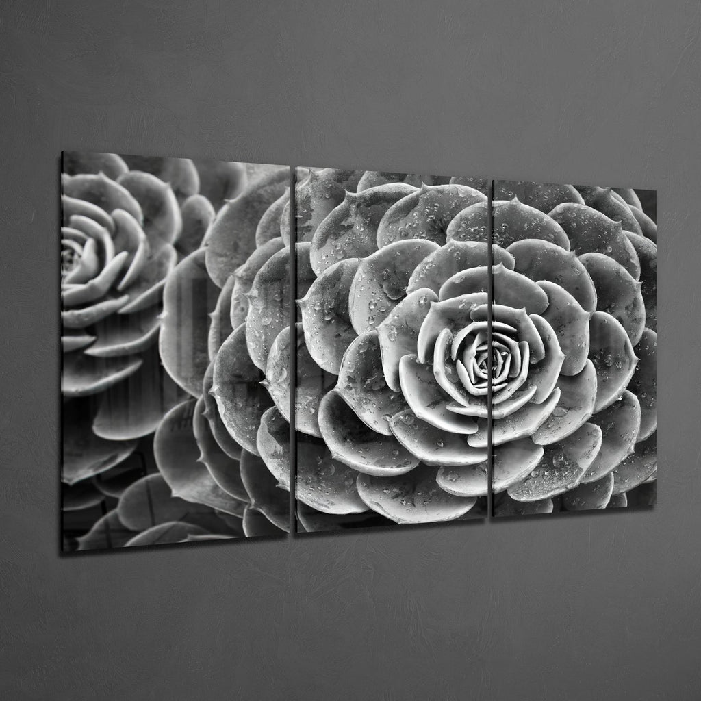 Glass Wall Art