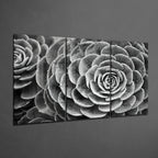 Glass Wall Art