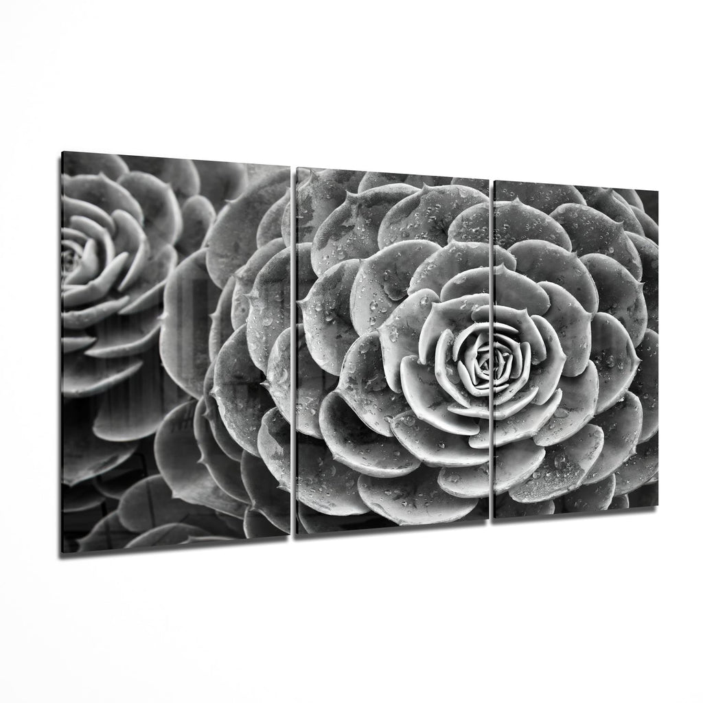 Glass Wall Art