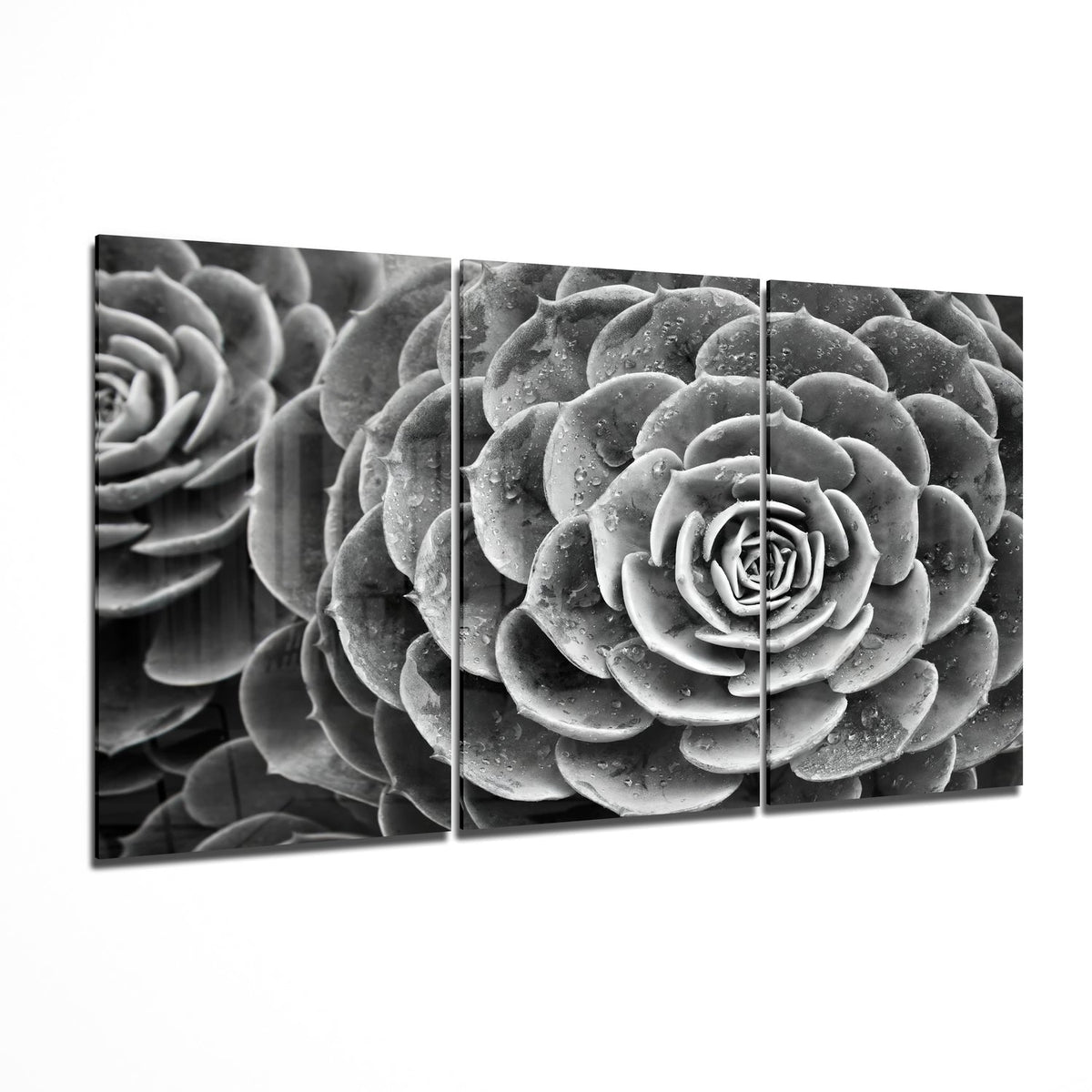 Glass Wall Art