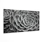 Glass Wall Art