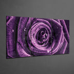 Glass Wall Art