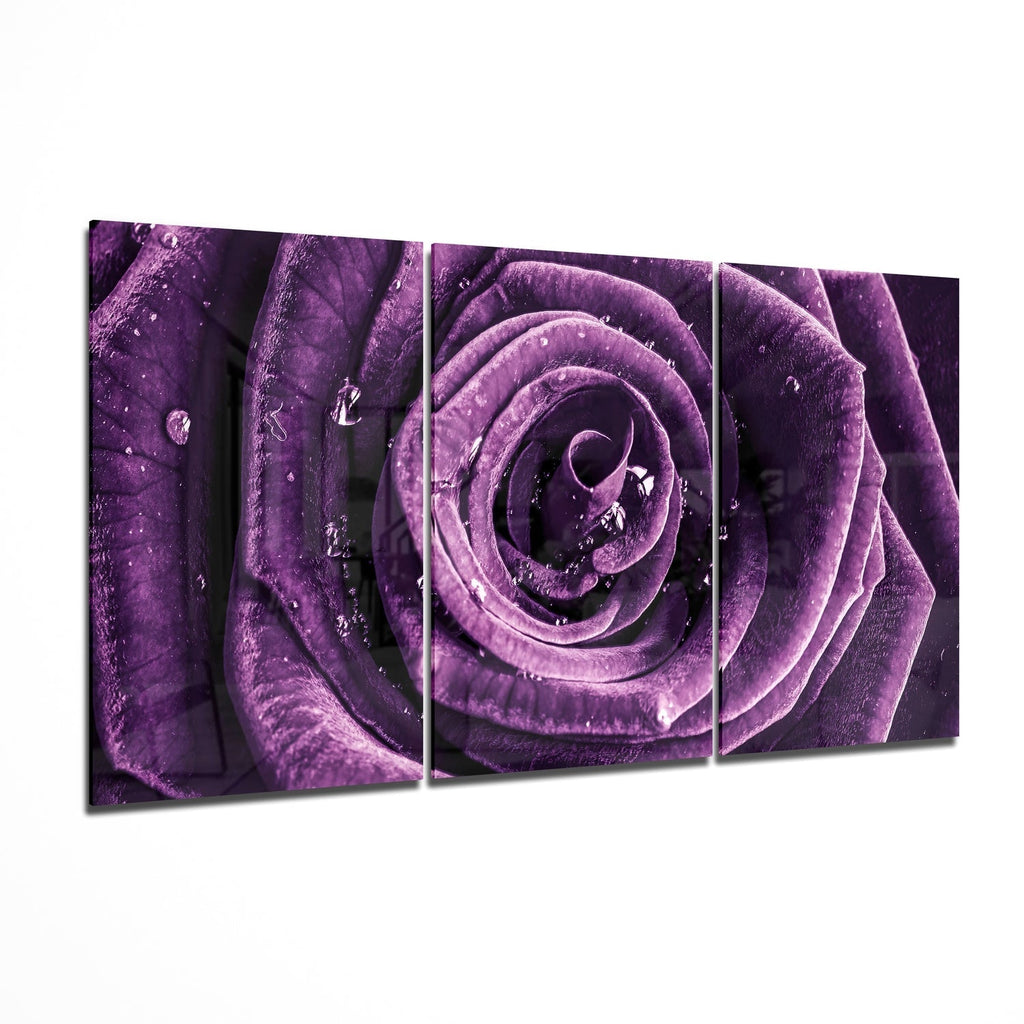 Glass Wall Art