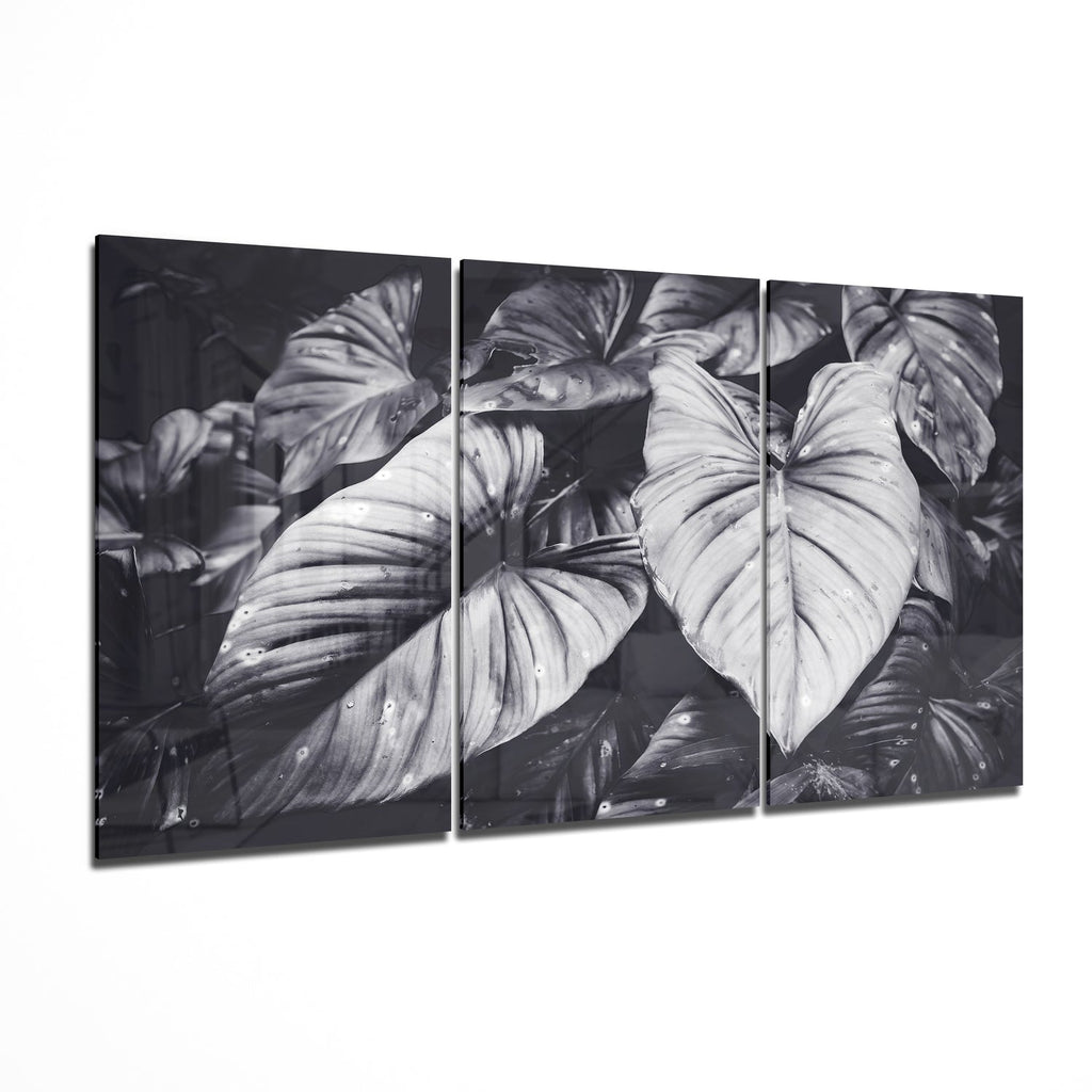Glass Wall Art