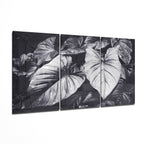 Glass Wall Art