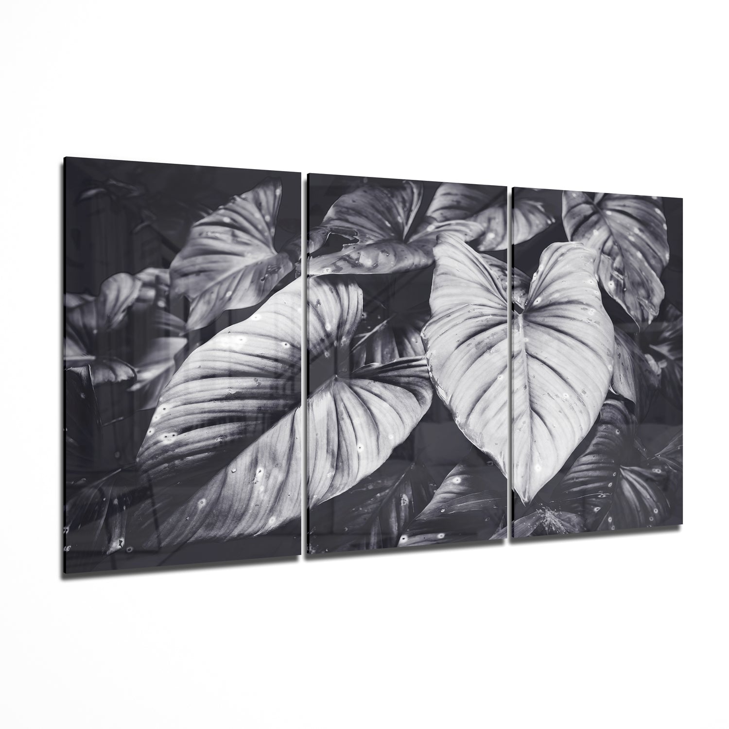 Glass Wall Art