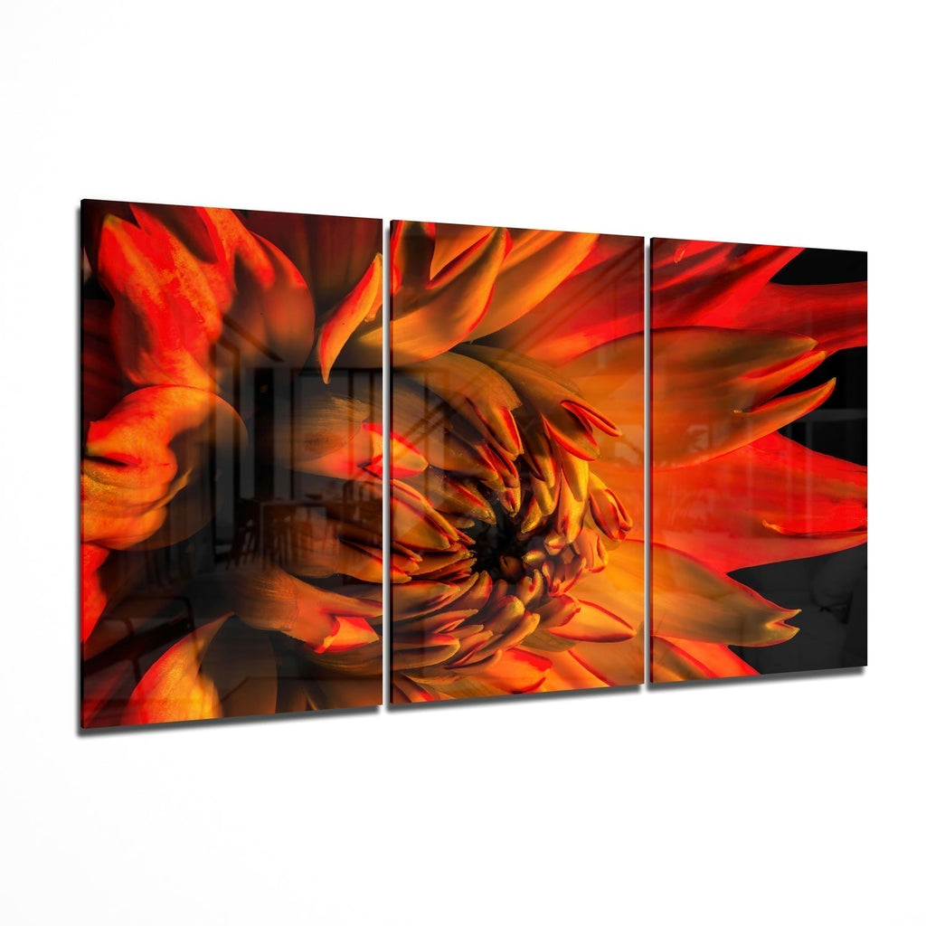 Glass Wall Art