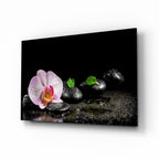 Glass Wall Art