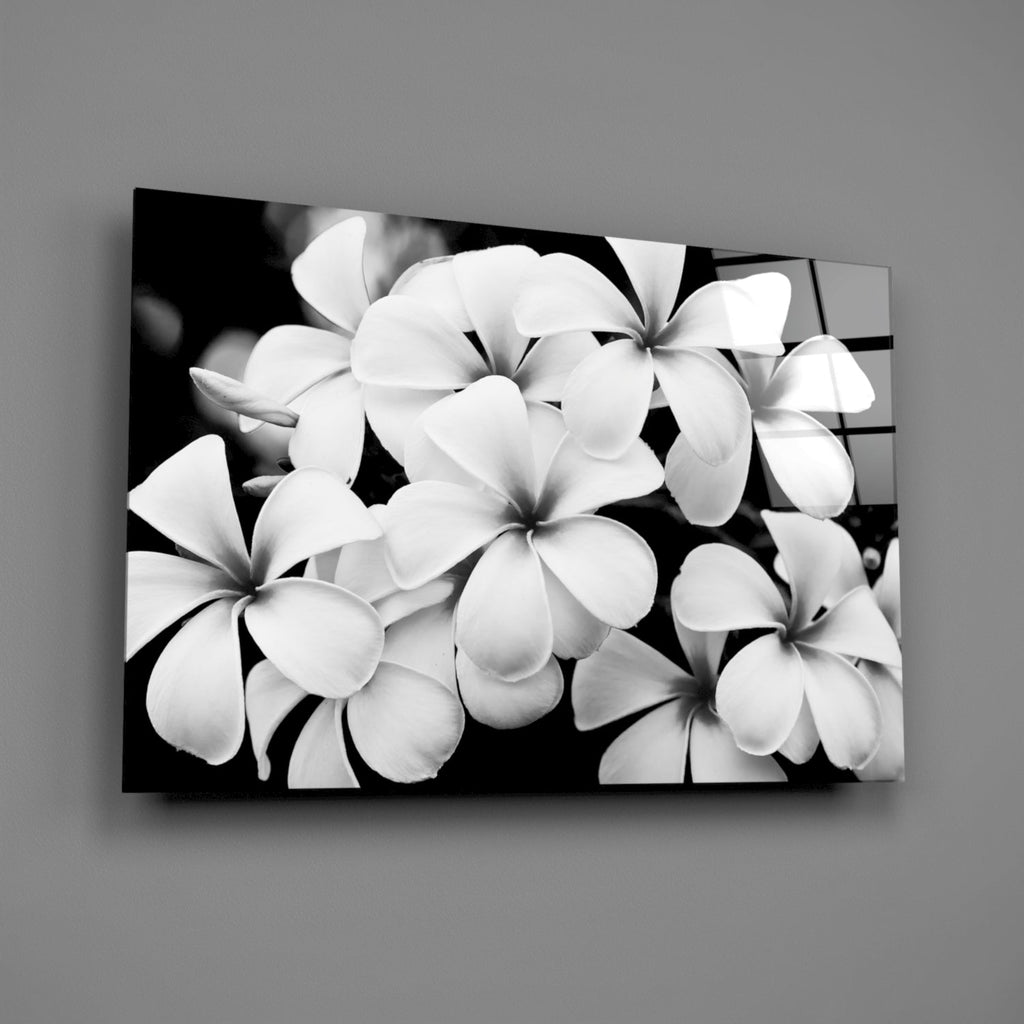 Glass Wall Art