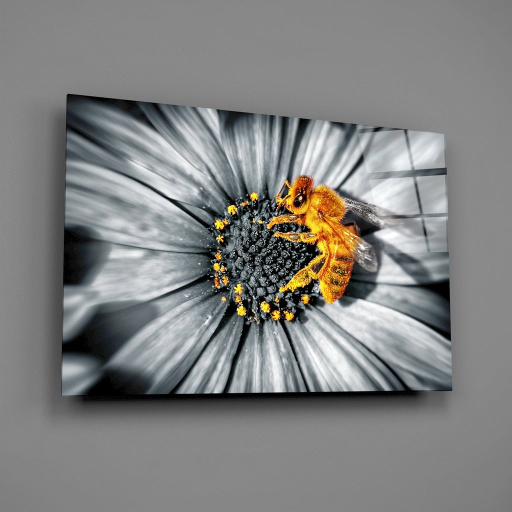 Glass Wall Art
