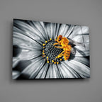 Glass Wall Art