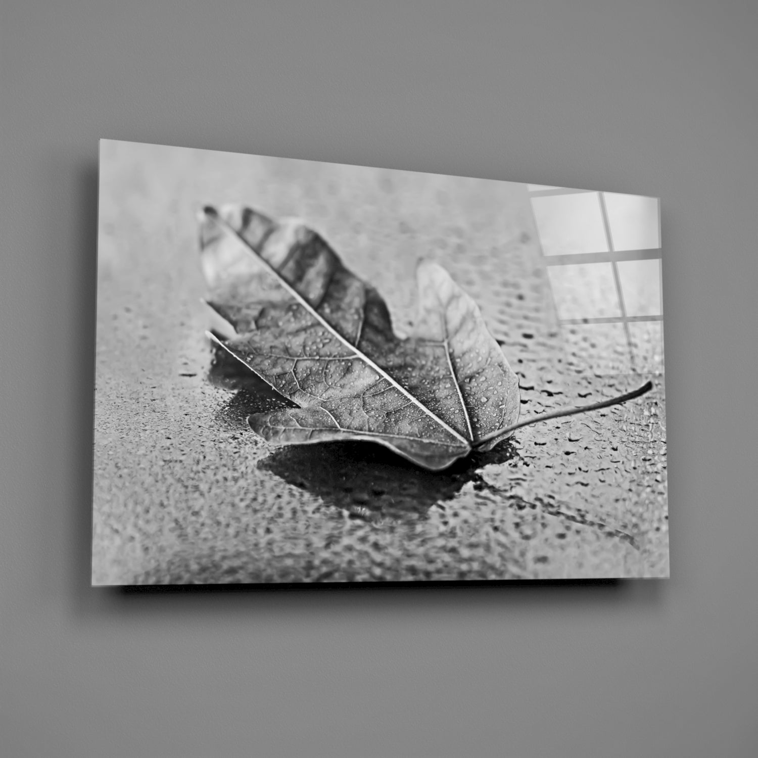 Glass Wall Art